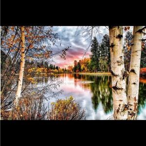 Birchwood Lake Diamond Painting to be completed!